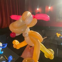 Formation Ballons IF2A