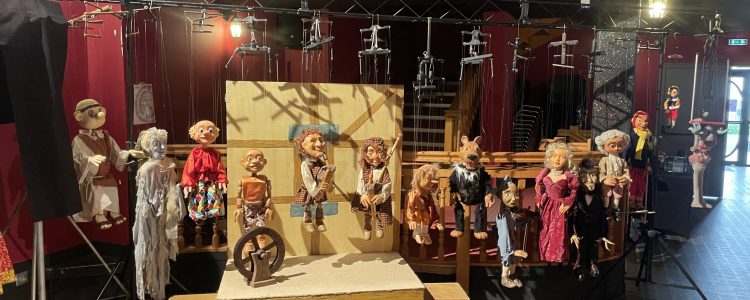 stage marionnette à fils